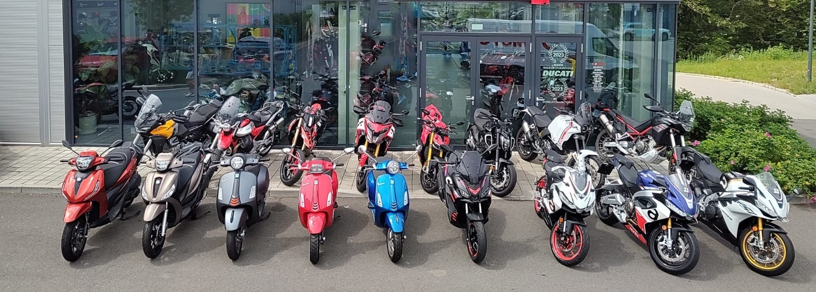 DMOTO showroom